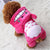 Pet Dog Cat Clothes Cartoon