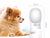 Pet Dog Water Bottle