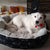 Pets products for puppies pet bed