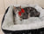 Pets products for puppies pet bed