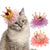 Lace Princess Crown Cat Hair Clip