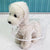 Raincoats Dog Raincoat Spring