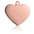 Free engraving dog Collar pet