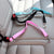 Safety Protector Travel Pets