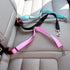 Safety Protector Travel Pets