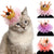 Lace Princess Crown Cat Hair Clip
