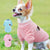 Dogs  Clothes Coat Winter