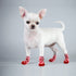 Anti-Slip Knit Socks Small Dogs