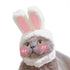 Warm Rabbit Hat New Year Party