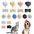 Free engraving dog Collar pet